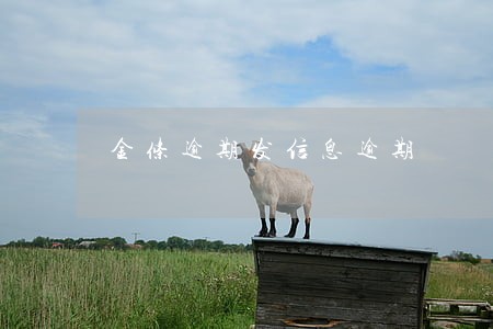 金条逾期发信息逾期 金条逾期发信息逾期
