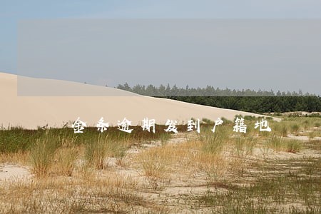金条逾期发到户籍地 金条逾期发到户籍地