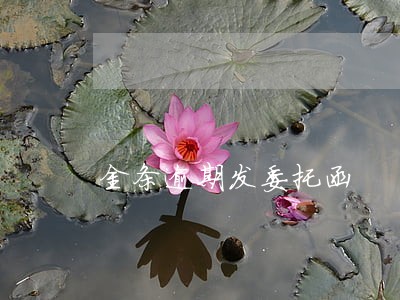 金条逾期发委托函 金条逾期发委托函