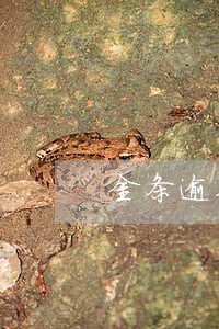 金条逾期发短信说上报征信