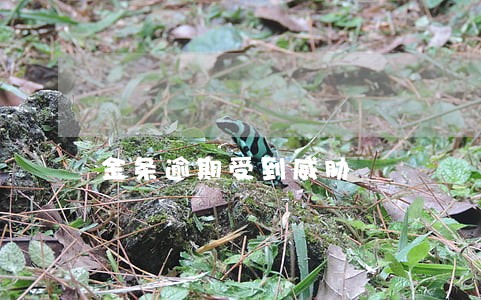 金条逾期受到威胁