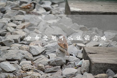 金条逾期可以住酒店吗 金条逾期可以住酒店吗