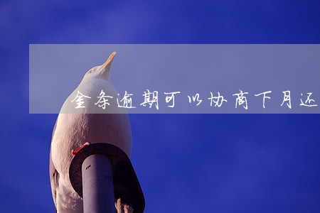 金条逾期可以协商下月还么 金条逾期可以协商下月还么
