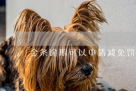 金条逾期可以申请减免罚息吗 金条逾期可以申请减免罚息吗