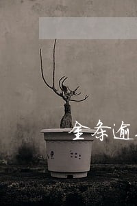 金条逾期可以随时还款吗 金条逾期可以随时还款吗