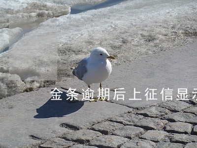 金条逾期后上征信显示 金条逾期后上征信显示