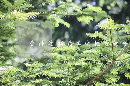 金条逾期后其它地方也借不到钱 金条逾期后其它地方也借不到钱