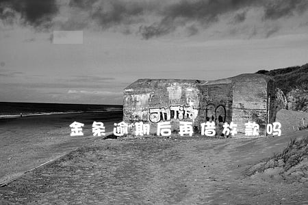 金条逾期后再借放款吗 金条逾期后再借放款吗