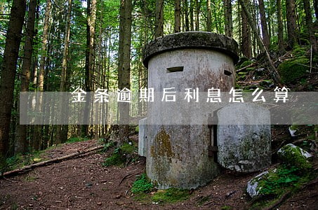 金条逾期后利息怎么算