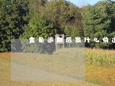 金条逾期后发什么快递上门