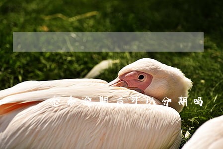 金条逾期后可以分期吗 金条逾期后可以分期吗