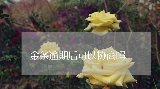 金条逾期后可以协商吗