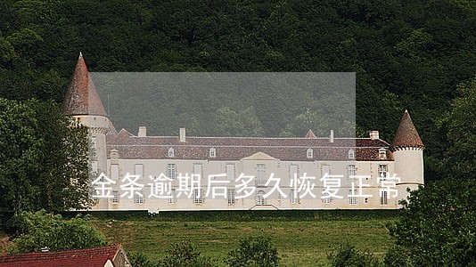 金条逾期后多久恢复正常 金条逾期后多久恢复正常