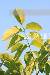 金条逾期后天上门 金条逾期后天上门