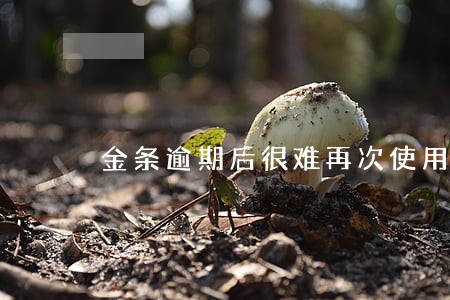 金条逾期后很难再次使用 金条逾期后很难再次使用