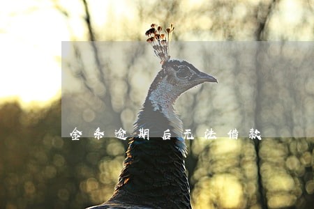 金条逾期后无法借款 金条逾期后无法借款