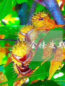 金条逾期后无法还款 金条逾期后无法还款