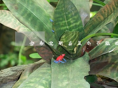 金条逾期后显示不能借款 金条逾期后显示不能借款