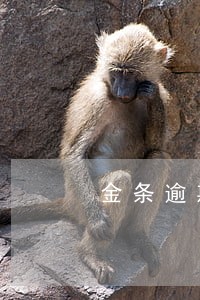金条逾期后续 金条逾期后续
