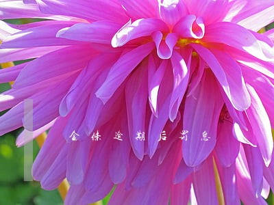 金条逾期后罚息 金条逾期后罚息