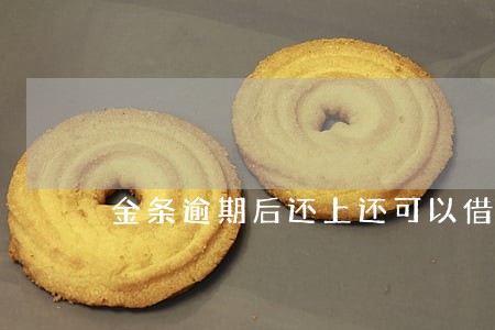 金条逾期后还上还可以借吗