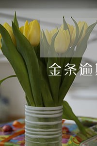 金条逾期后还可以借款吗 金条逾期后还可以借款吗