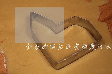 金条逾期后还有额度可以再借 金条逾期后还有额度可以再借