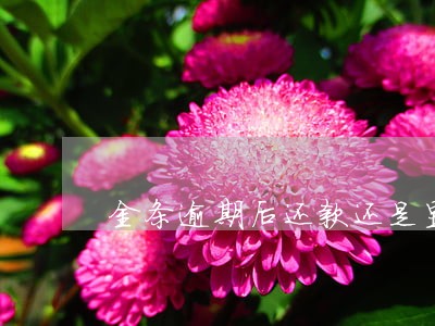 金条逾期后还款还是显示逾期 金条逾期后还款还是显示逾期