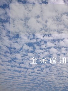 金条逾期后还清了能恢复吗 金条逾期后还清了能恢复吗