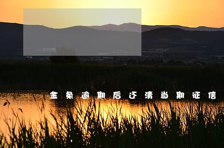 金条逾期后还清当期征信如何显示 金条逾期后还清当期征信如何显示