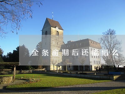 金条逾期后还能借么 金条逾期后还能借么
