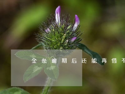 金条逾期后还能再借不 金条逾期后还能再借不