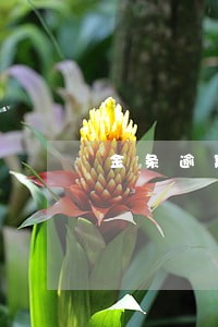 金条逾期后额度被冻结多久能解封 金条逾期后额度被冻结多久能解封