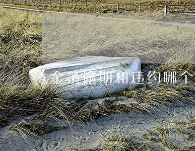 金条逾期和违约哪个严重 金条逾期和违约哪个严重