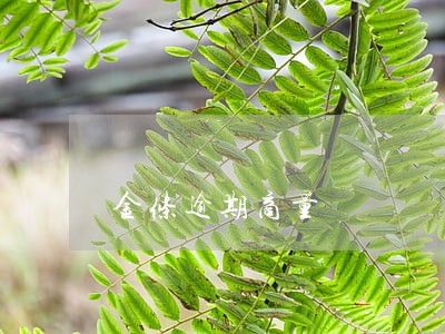 金条逾期商量 金条逾期商量