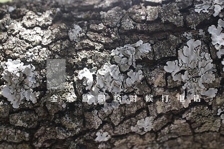 金条逾期啥时候打电话 金条逾期啥时候打电话