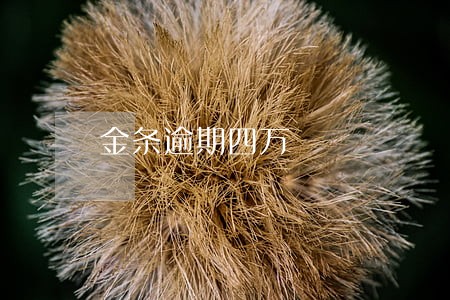 金条逾期四万 金条逾期四万