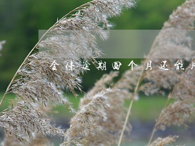 金条逾期四个月还能用么 金条逾期四个月还能用么