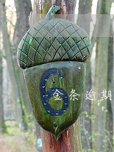 金条逾期四十分钟 金条逾期四十分钟