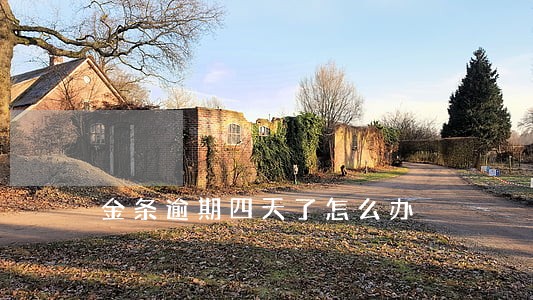 金条逾期四天了怎么办 金条逾期四天了怎么办