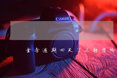 金条逾期四天了还能借吗 金条逾期四天了还能借吗