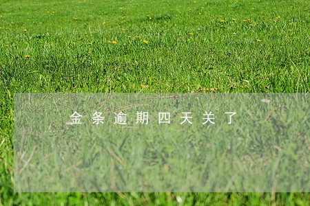 金条逾期四天关了 金条逾期四天关了