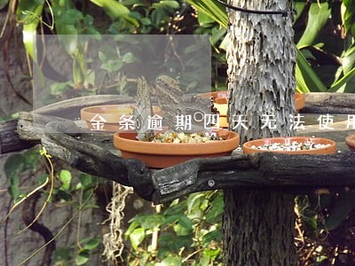 金条逾期四天无法使用 金条逾期四天无法使用