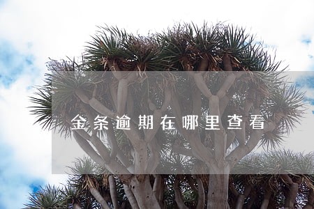 金条逾期在哪里查看 金条逾期在哪里查看