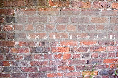 金条逾期在征信会显示吗 金条逾期在征信会显示吗