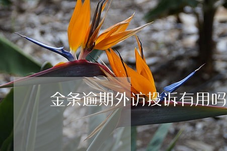 金条逾期外访投诉有用吗 金条逾期外访投诉有用吗