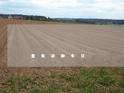 金条逾期多久 金条逾期多久