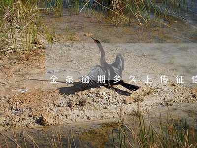 金条逾期多久上传征信 金条逾期多久上传征信
