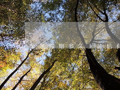 金条逾期多久上征信有用 金条逾期多久上征信有用