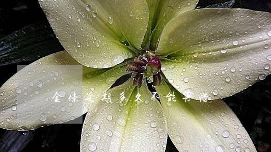 金条逾期多久不能再借 金条逾期多久不能再借